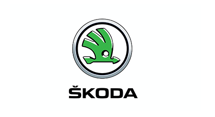 Cash For Damaged Or Unregistered Skoda | King Auto Group